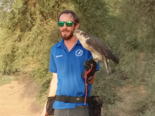 Brian holding a falcon.