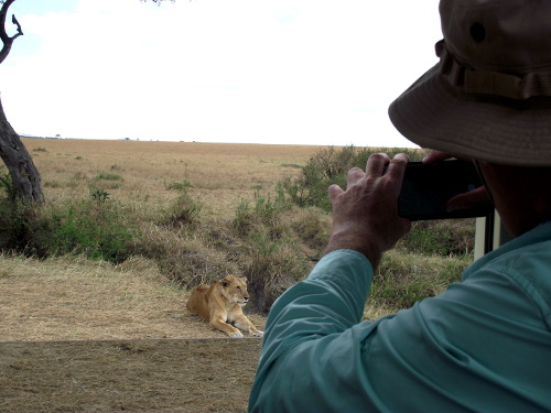 How close did we get to the lions?