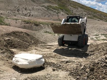 Trying to recover a very large turtle with a Bobcat loader.