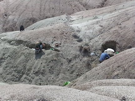 Joe and Bill digging.