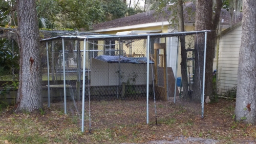 The newly roofed rabbit pen.