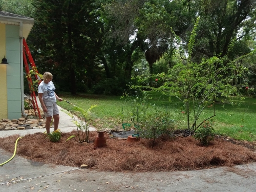 The finished planter beside the driveway.