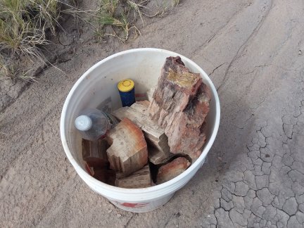 A bucket full of petrified wood.