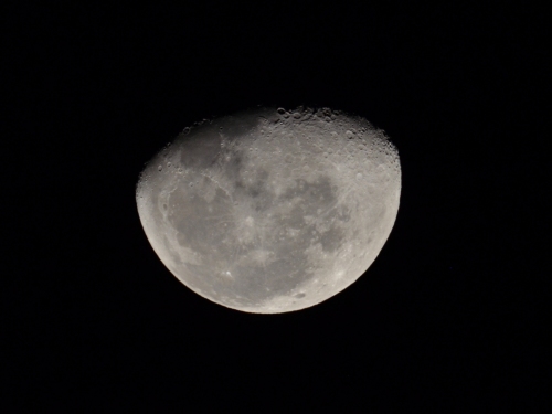 The Moon just before third quarter.