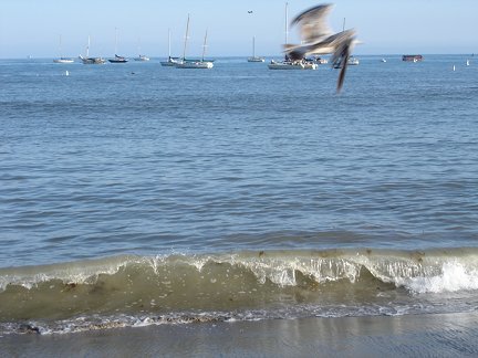 The beach in Santa Barbara.