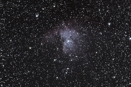 The Iris Nebula.