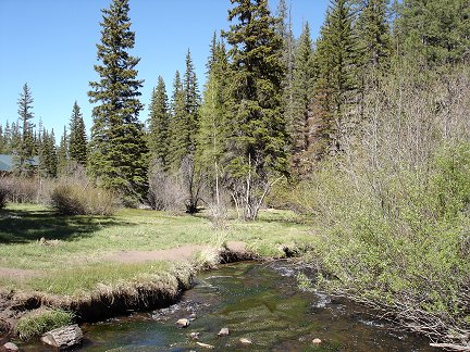 The Little Colorado River flowing through Greer, Arizona.