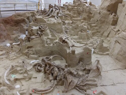 The Mammoth Site in Hot Springs South Dakota.