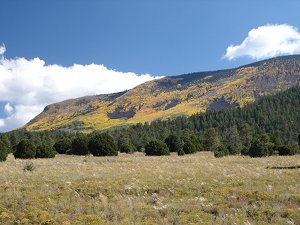 Escudilla Mountain with aspens ablaze