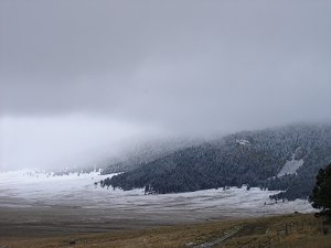 Snow in the New Mexico mountains