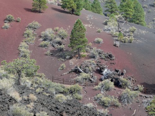 Another view of Sunset Crater.