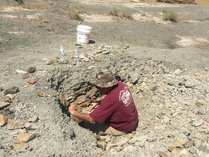 Mike in the hole digging for fossils.