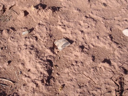 A potsherd found on my Arizona property.