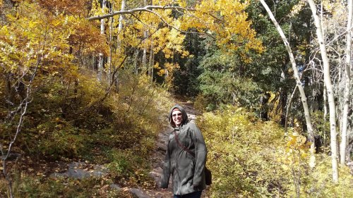 Colorful aspens on the Sandia Crest Trail.